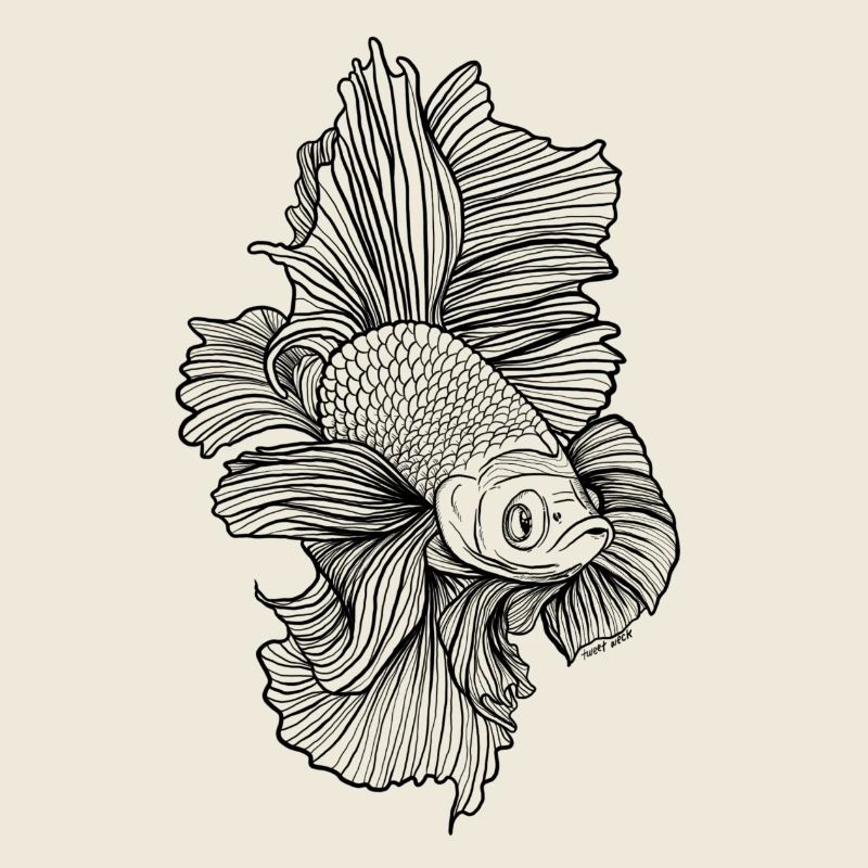 Betta Fisch