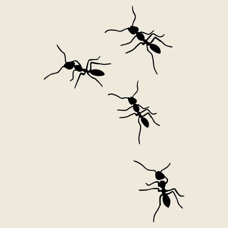 fourmis