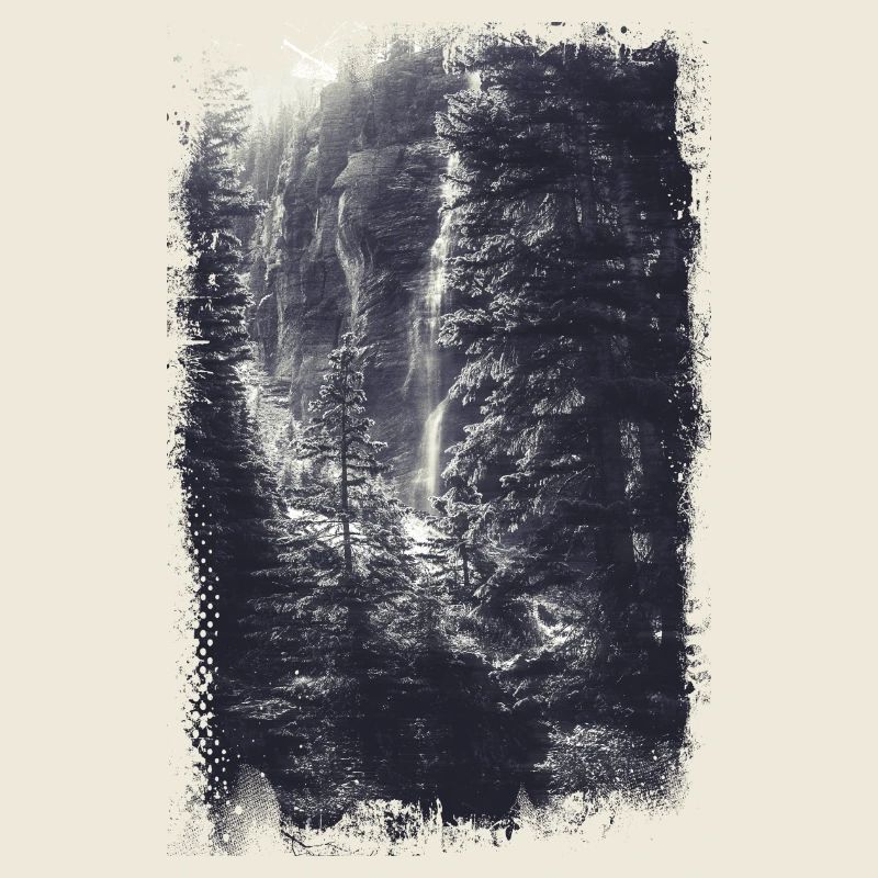 Wald Blick Landschaft