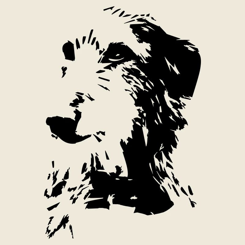 Tête écossaise de Deerhound