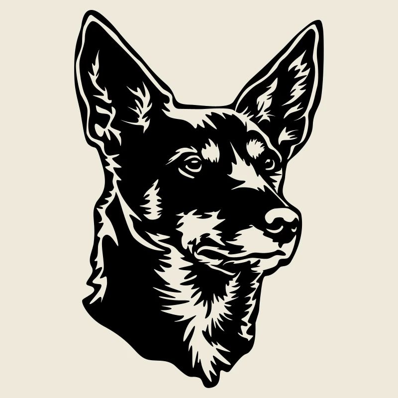 Australian kelpie head