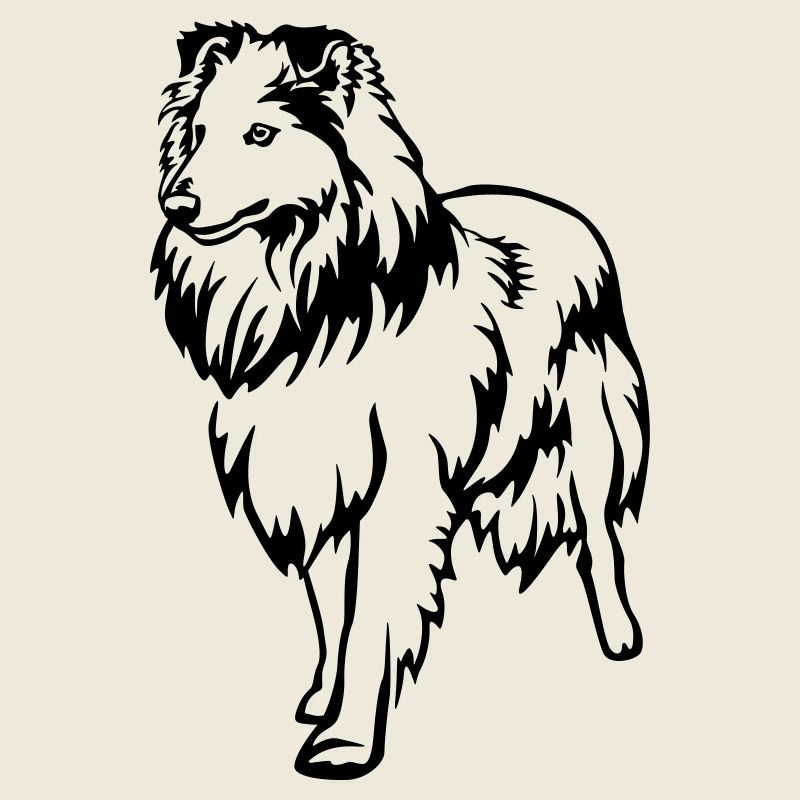 Sheltie