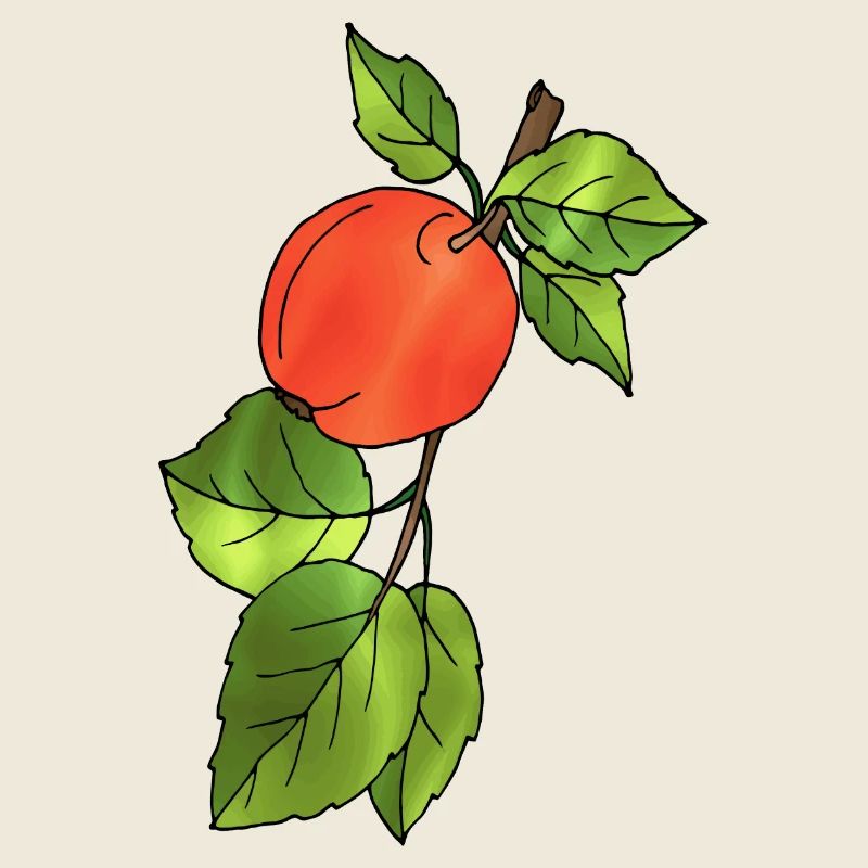 Pomme