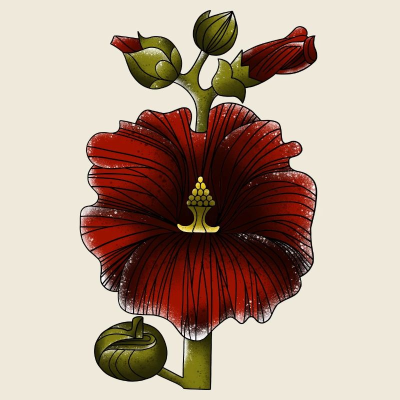 Malve