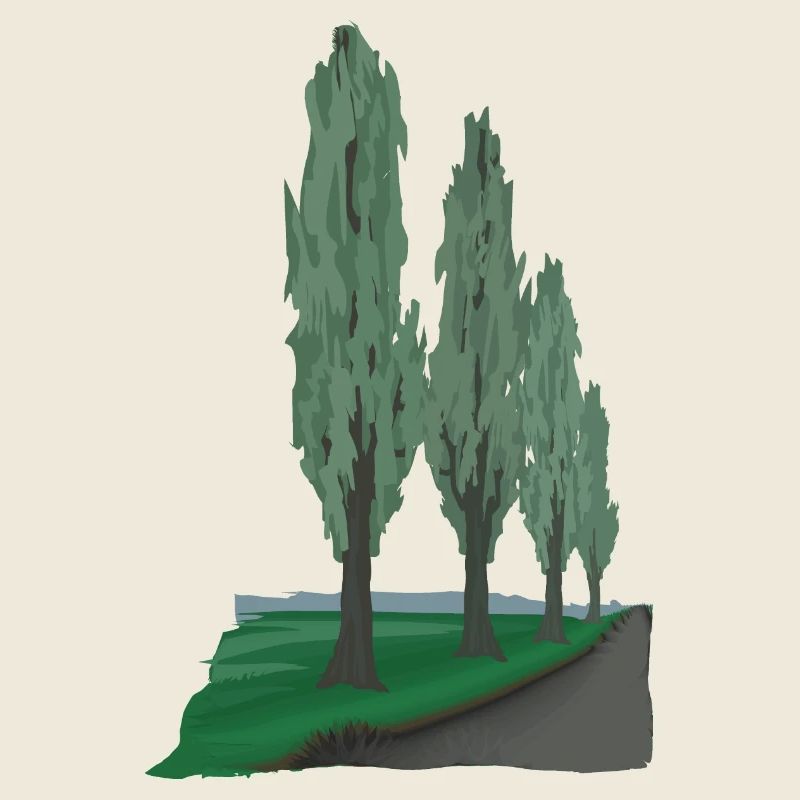 Avenue Poplar | Peuplier