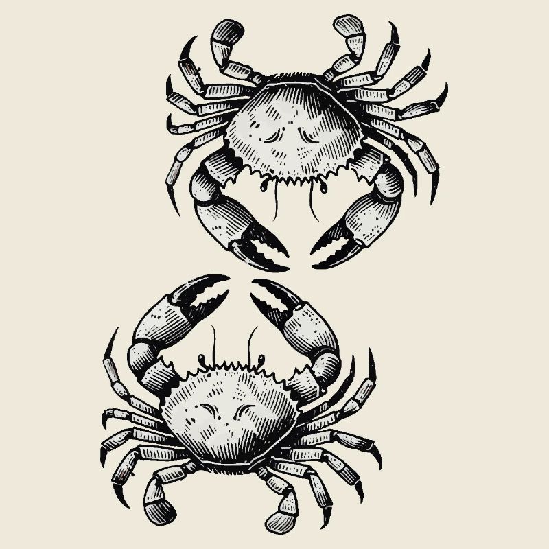 Krebs Krabbe