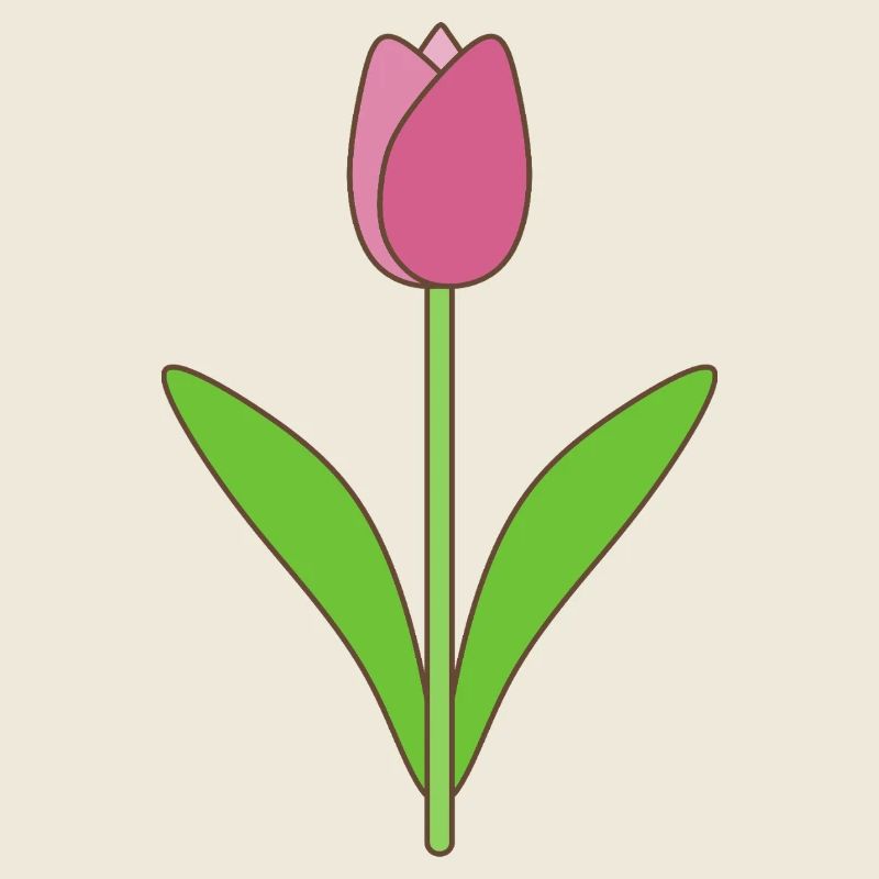 Tulip Bloom Rose