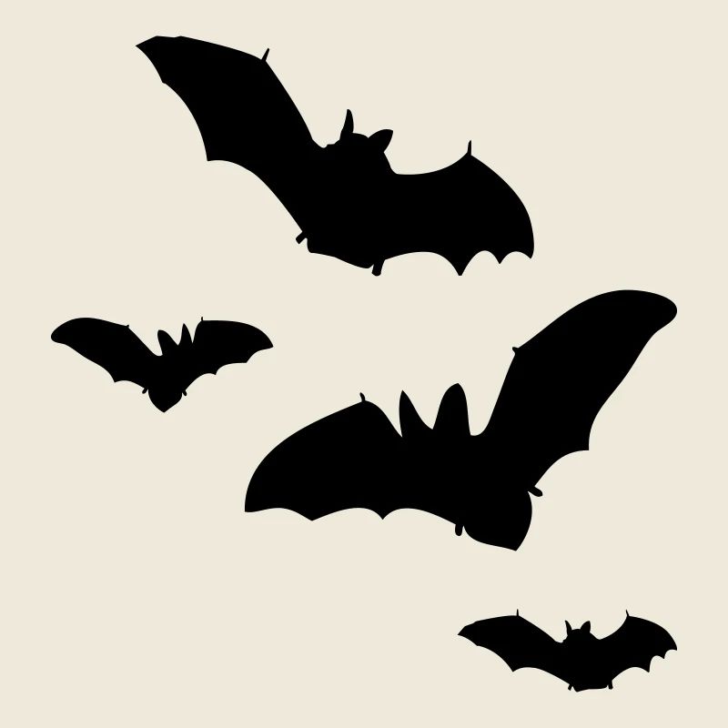 fledermaus1