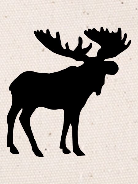 Moose