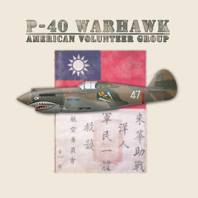 P-40 Warhawk Flying Tiger American Volunteer Group