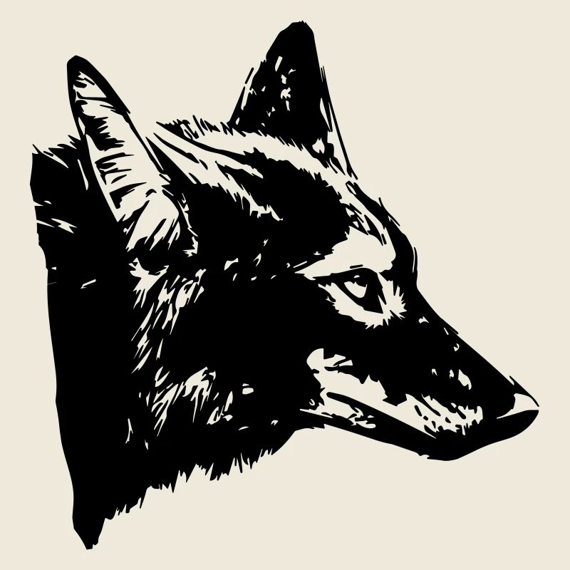 coyote