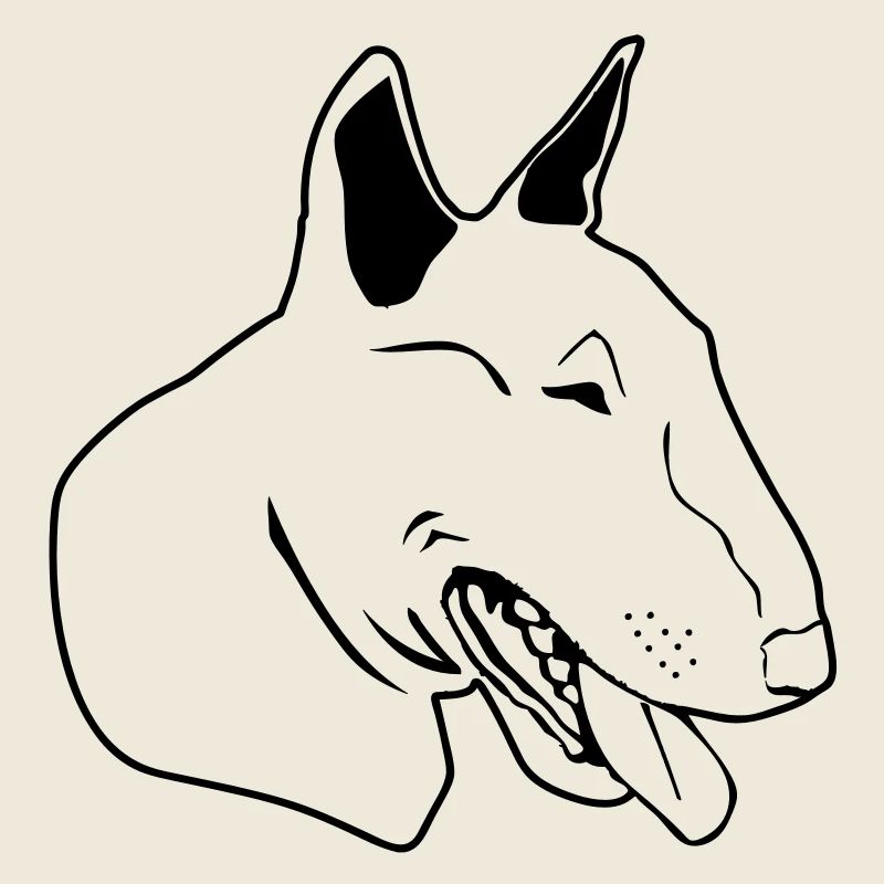 Bull terrier de