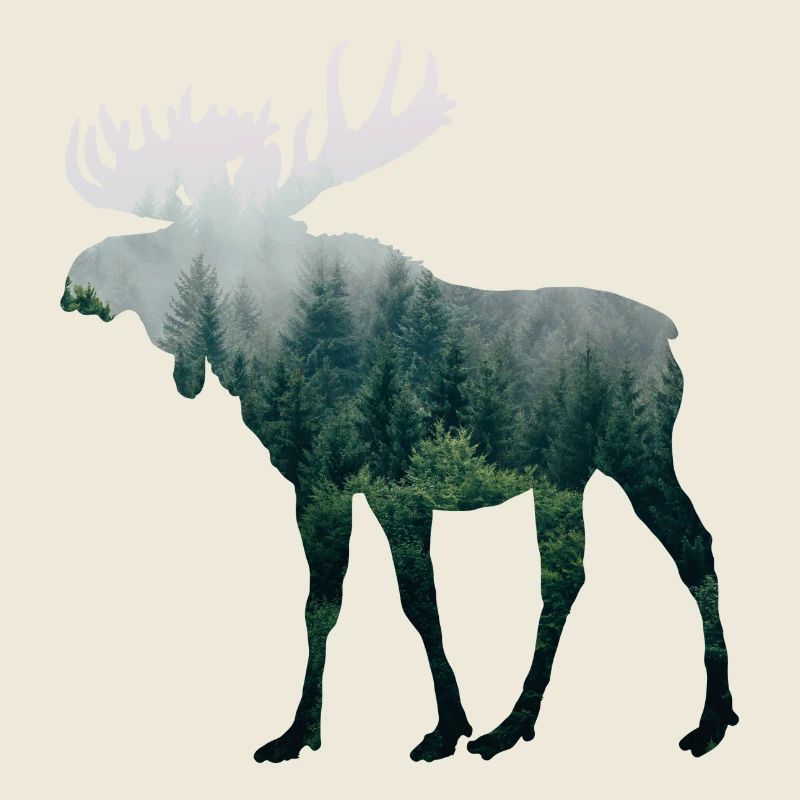 Moose