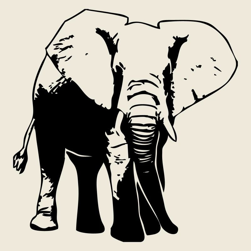 Elefant - Elephant
