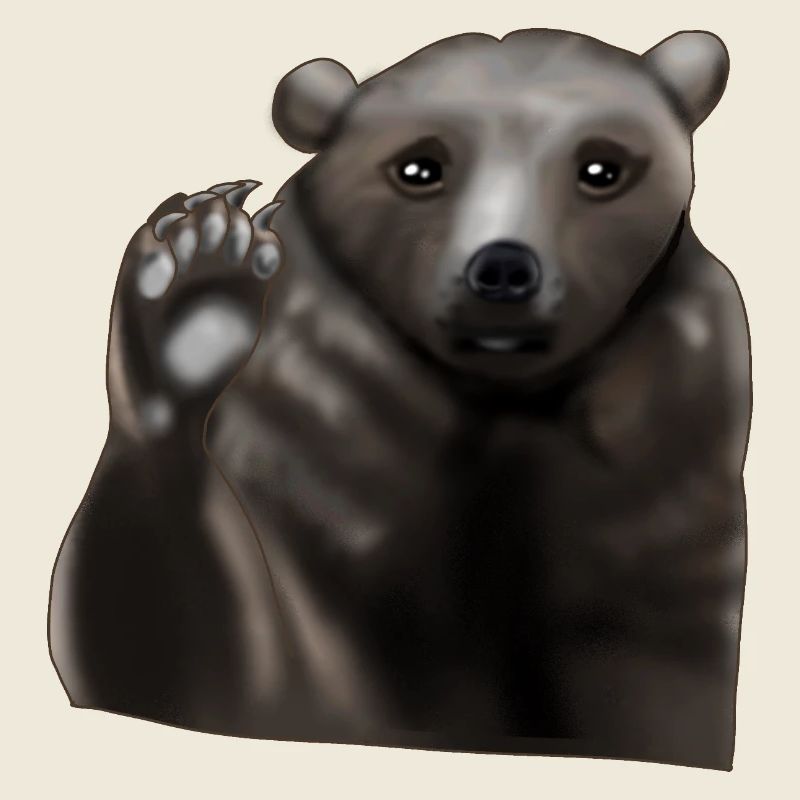 Braunbär