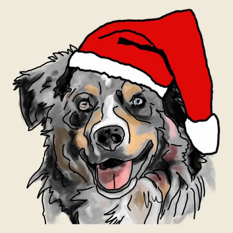 Australian Shepherd Aussie Christmas