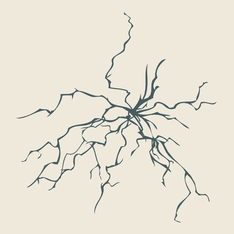 lightning flash 1209 A
