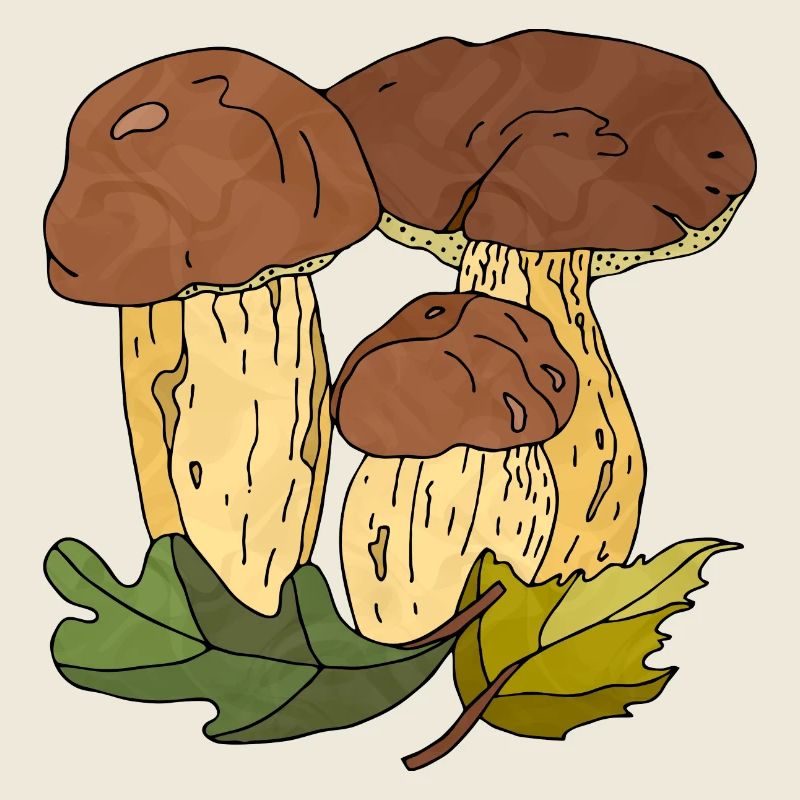 Mycètes