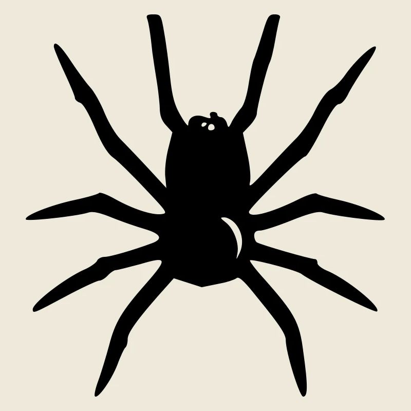 Spinne