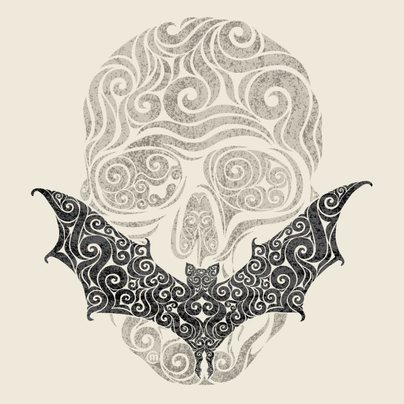 Crâne / Chauve-souris