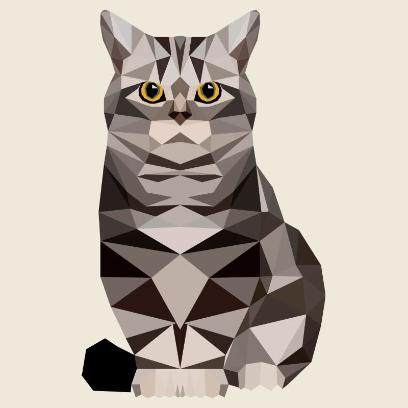 polygone maison chat chaton chat