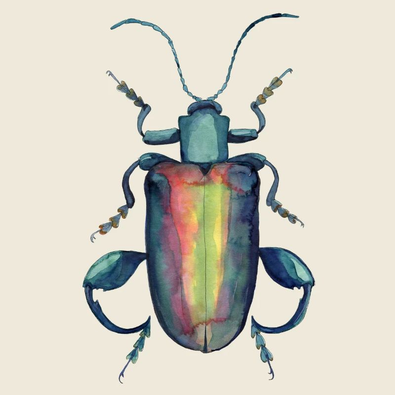 kaefer mit kräftigen Oberschenkeln