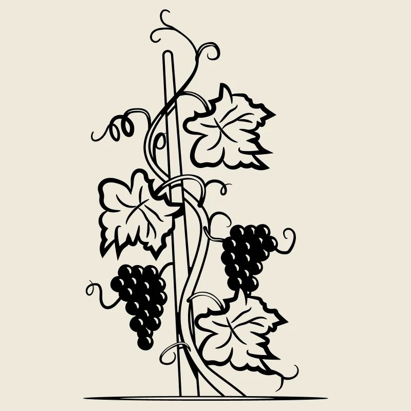 Wine vine night moon