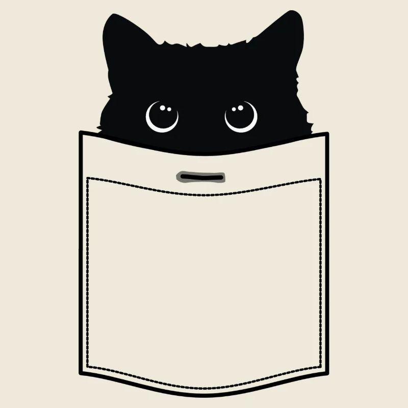 Chat en poche