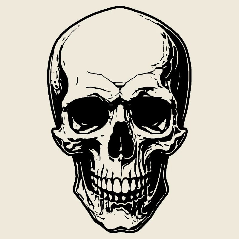 Skull