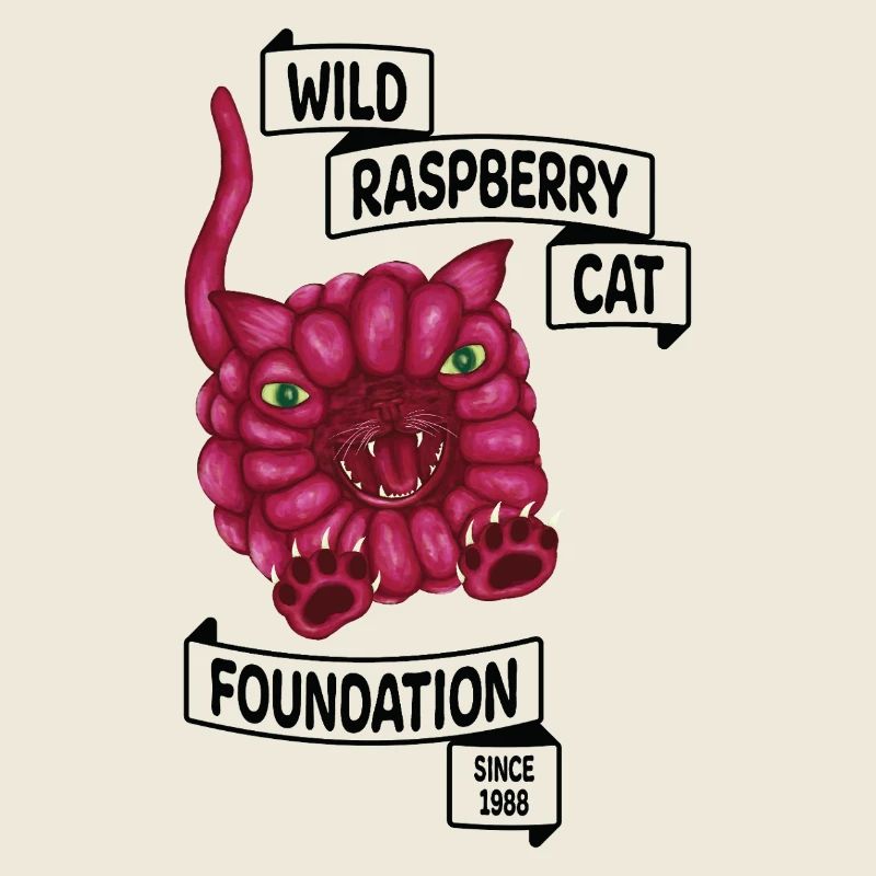 Raspberry le chat