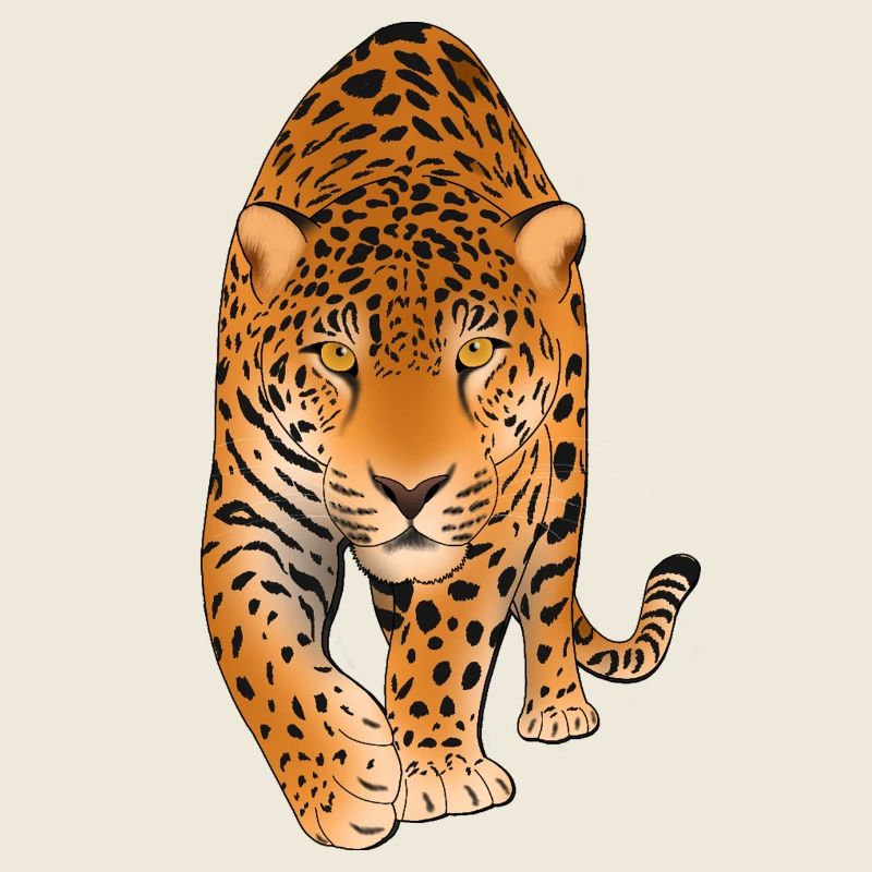 Grand chat léopard