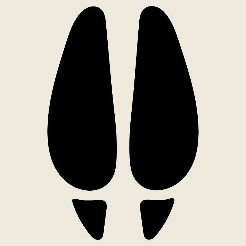 Empreinte de cerf