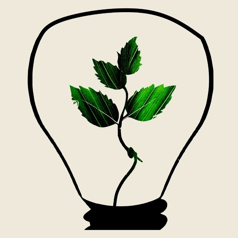 La durabilité commence par une idée