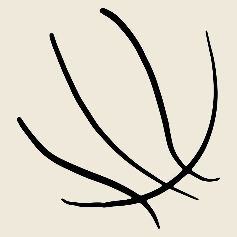 Basket-ball 05