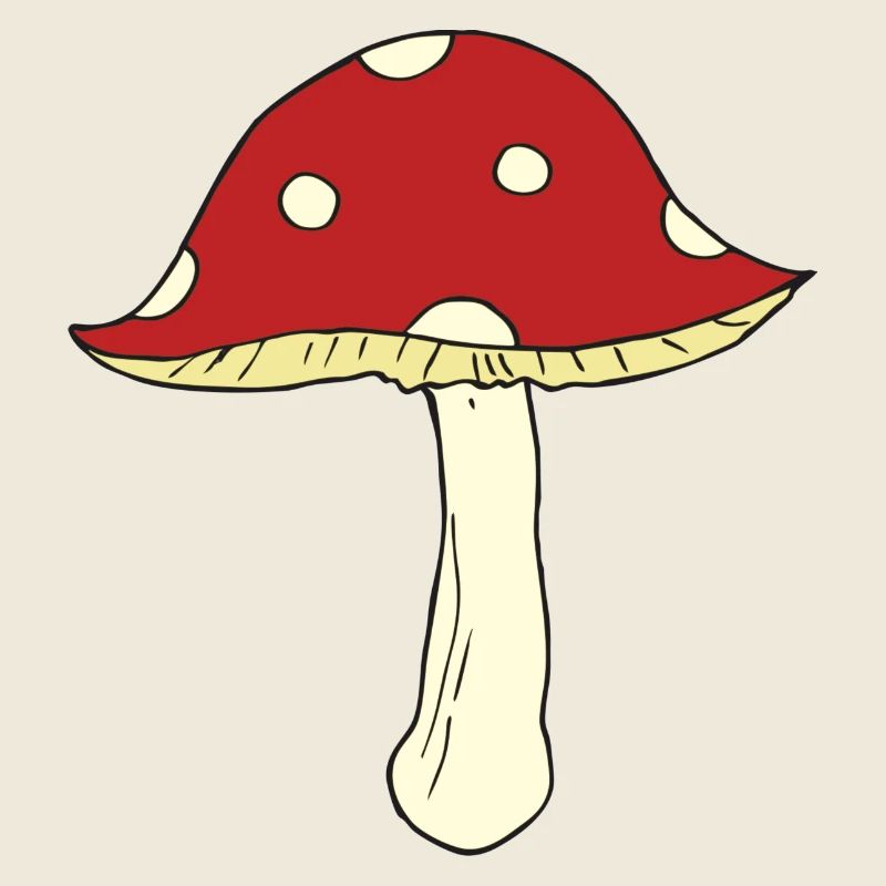 fly agaric