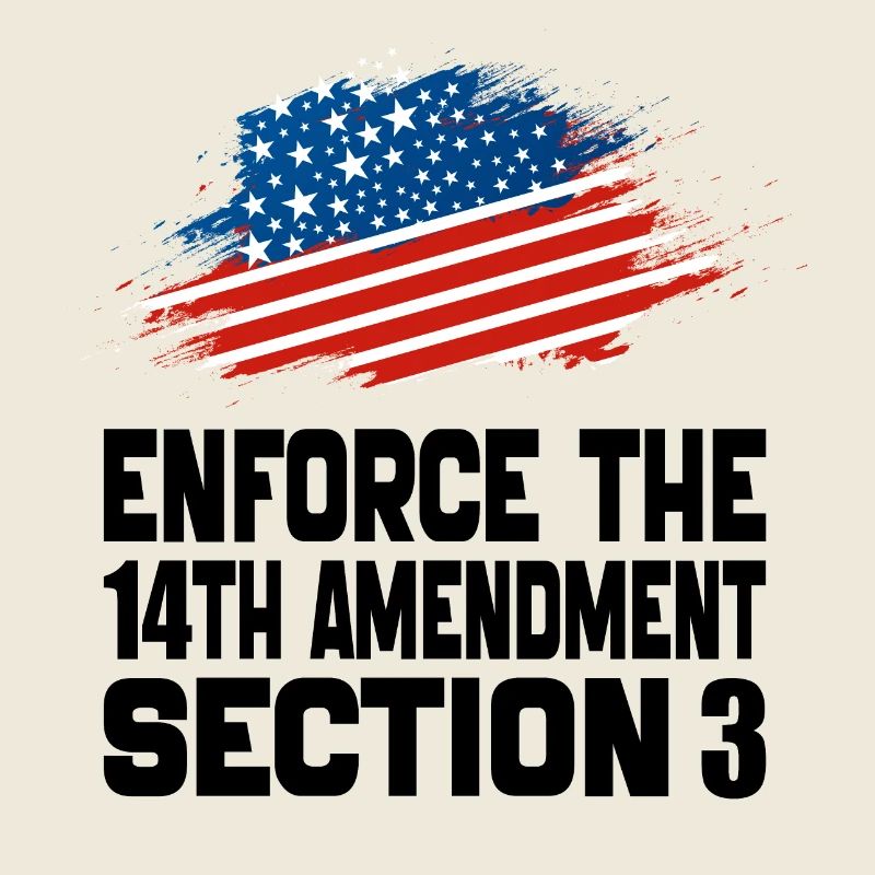 Enforce The 14TH Amendment Section 3
