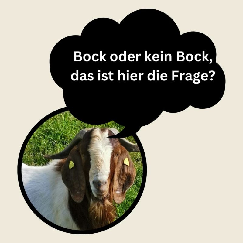 Fun Shirt "Bock oder kein Bock..."