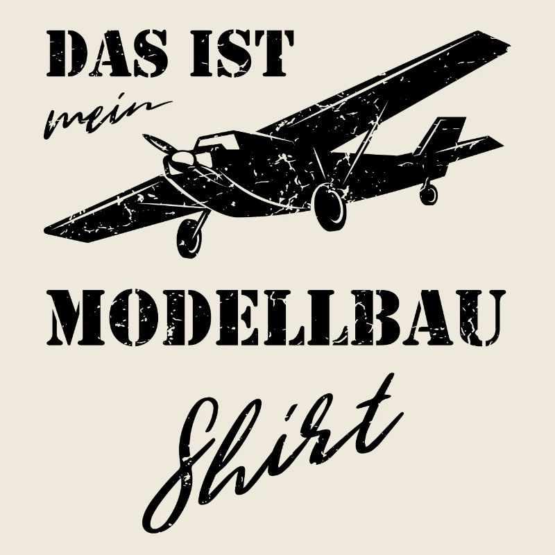 Modellbau Flugzeug