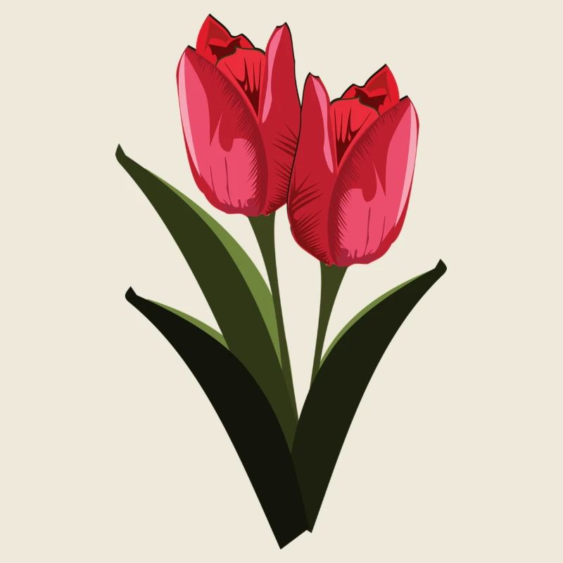 tulips