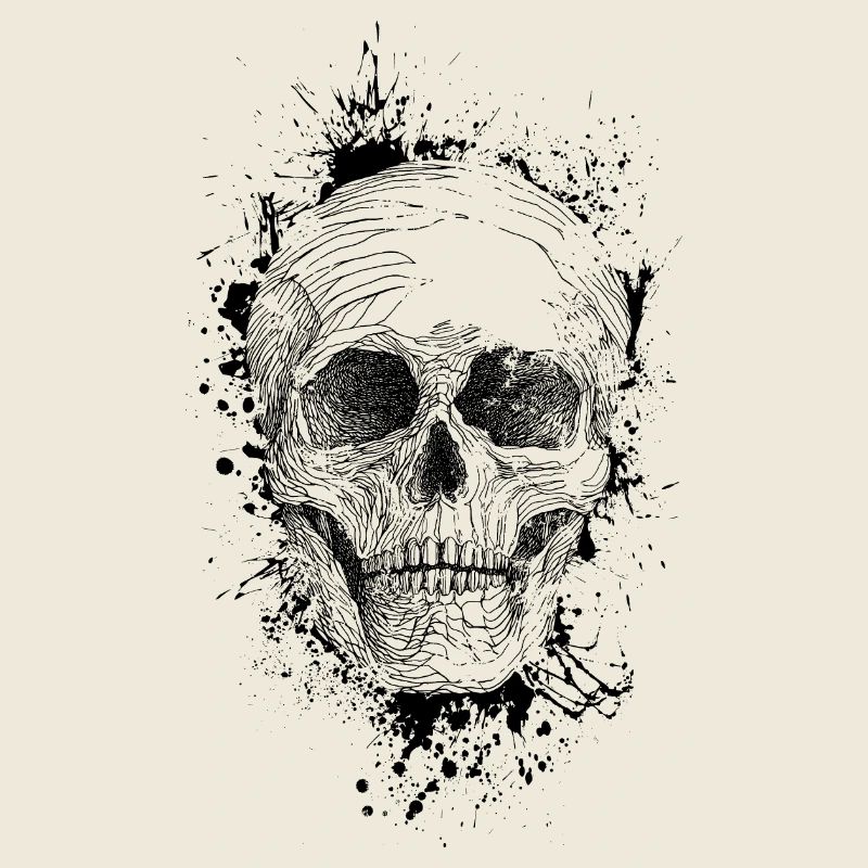 Skull