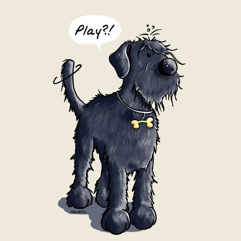 Schnauzer Géant Play - Chien - Chiens - Cadeau
