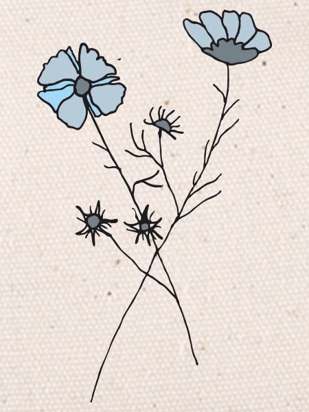 Fleur séchée