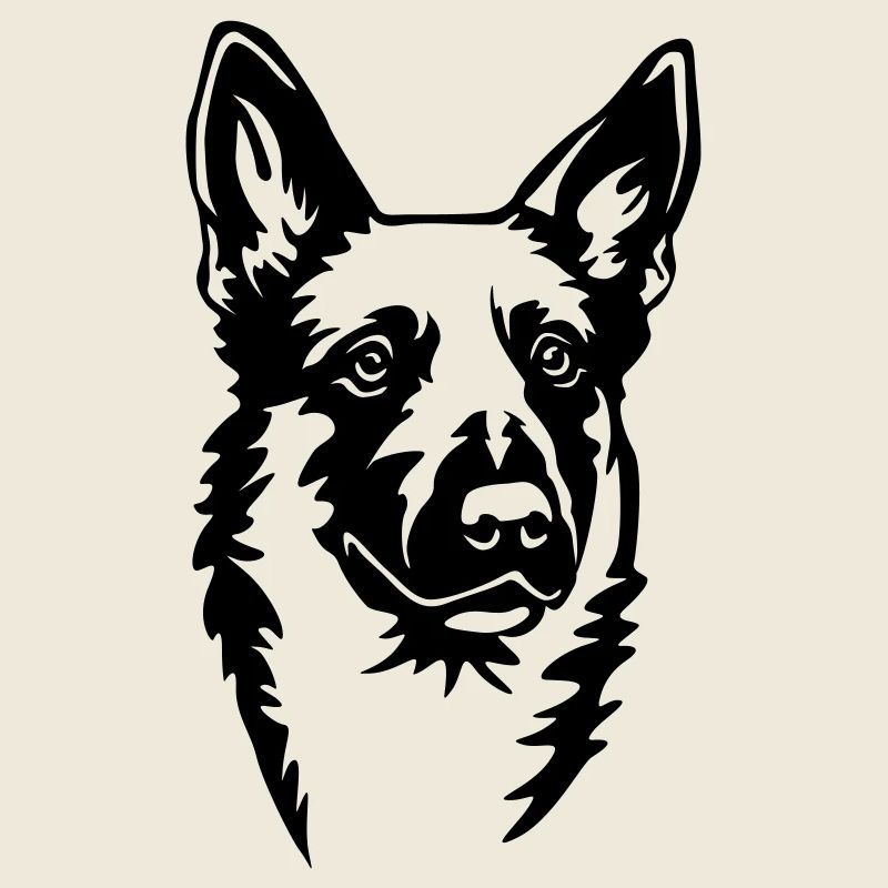 Malinois Kopf