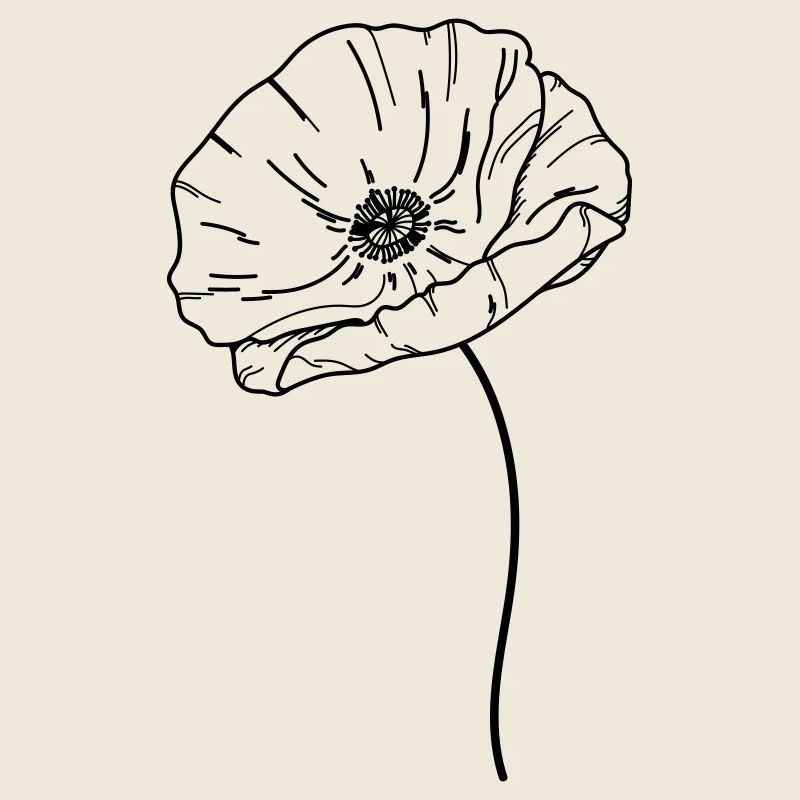 Fleur de coquelicot 21 Plan de travail 13