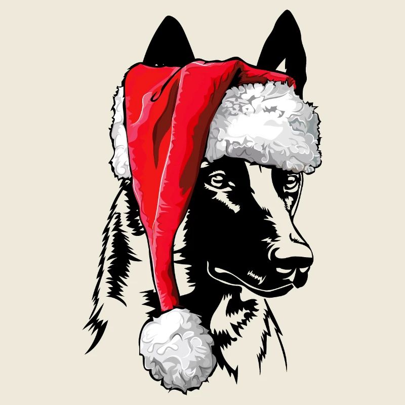Père Noël Malinois Saint-Nicolas chiens Wilsigns