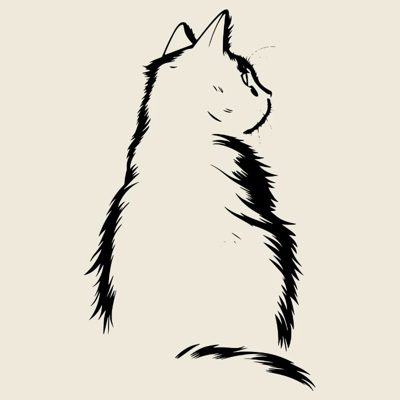 Chat, Motif De Chat