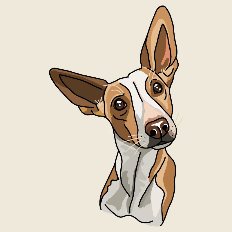 Podenco