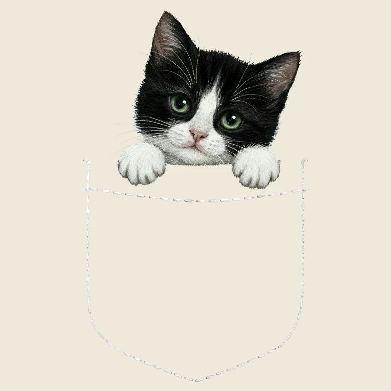 Cat Pocket peeks cute cat in the pocket