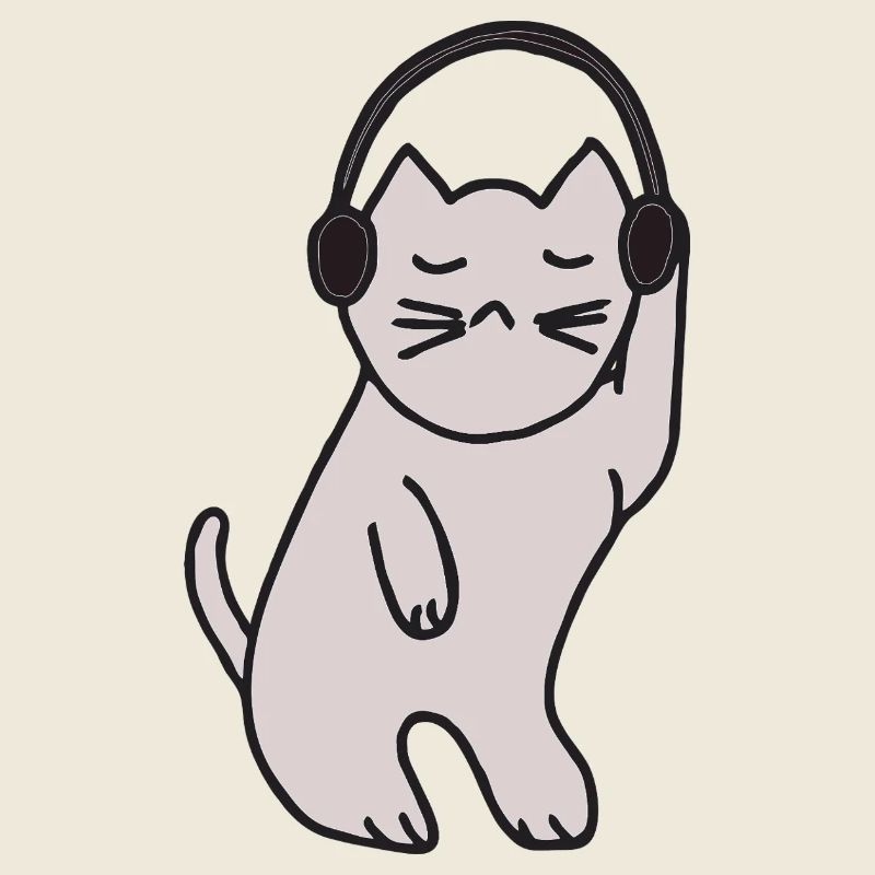 Reine disco chatte