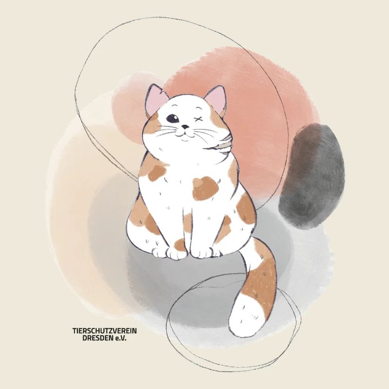 🐾 Rot-Weiße Katze 🐈